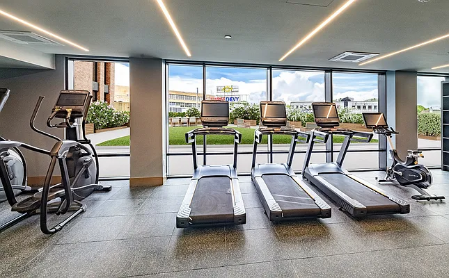 Rented by MNS | media 37