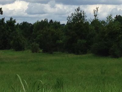 Spooner Rd, Lucedale, MS, 39452