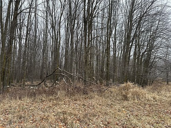 4th image of XXX EISENHOWER Drive