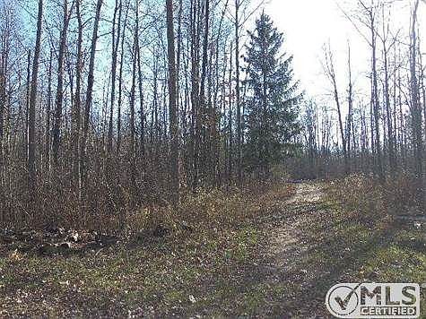 2887 Mount Forest Road, Bentley, MI