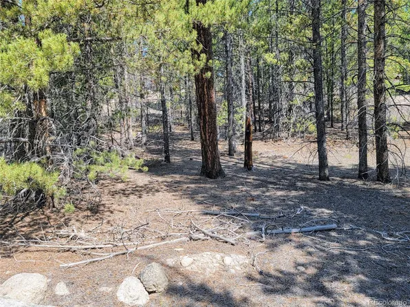 199 Birch Drive, Leadville, CO 80461