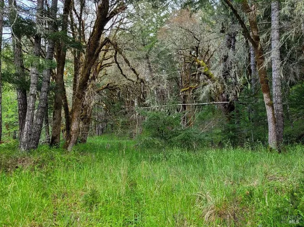 0 Muir Mill Road, Willits, CA 95490