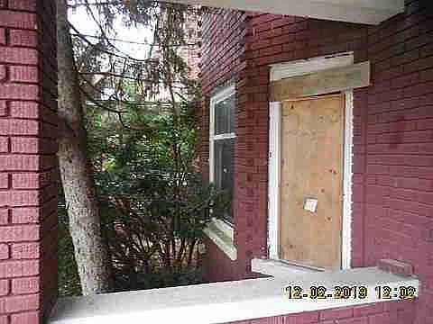 3319 Pingree