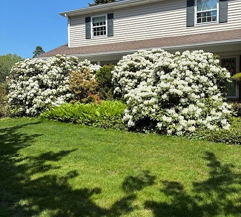 5th image of 815 Elizabeth Ln