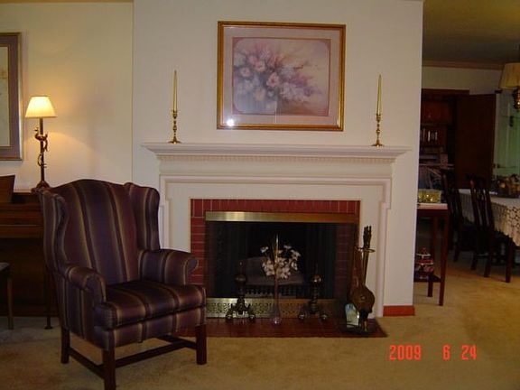 Living Room fireplace