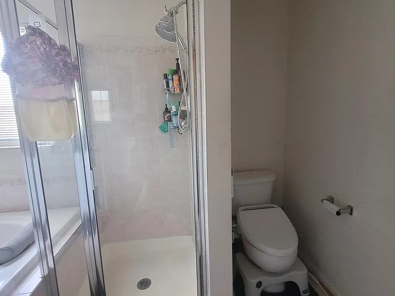 remote control bidet