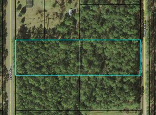 10025 Amos Ave, Hastings, FL 32145