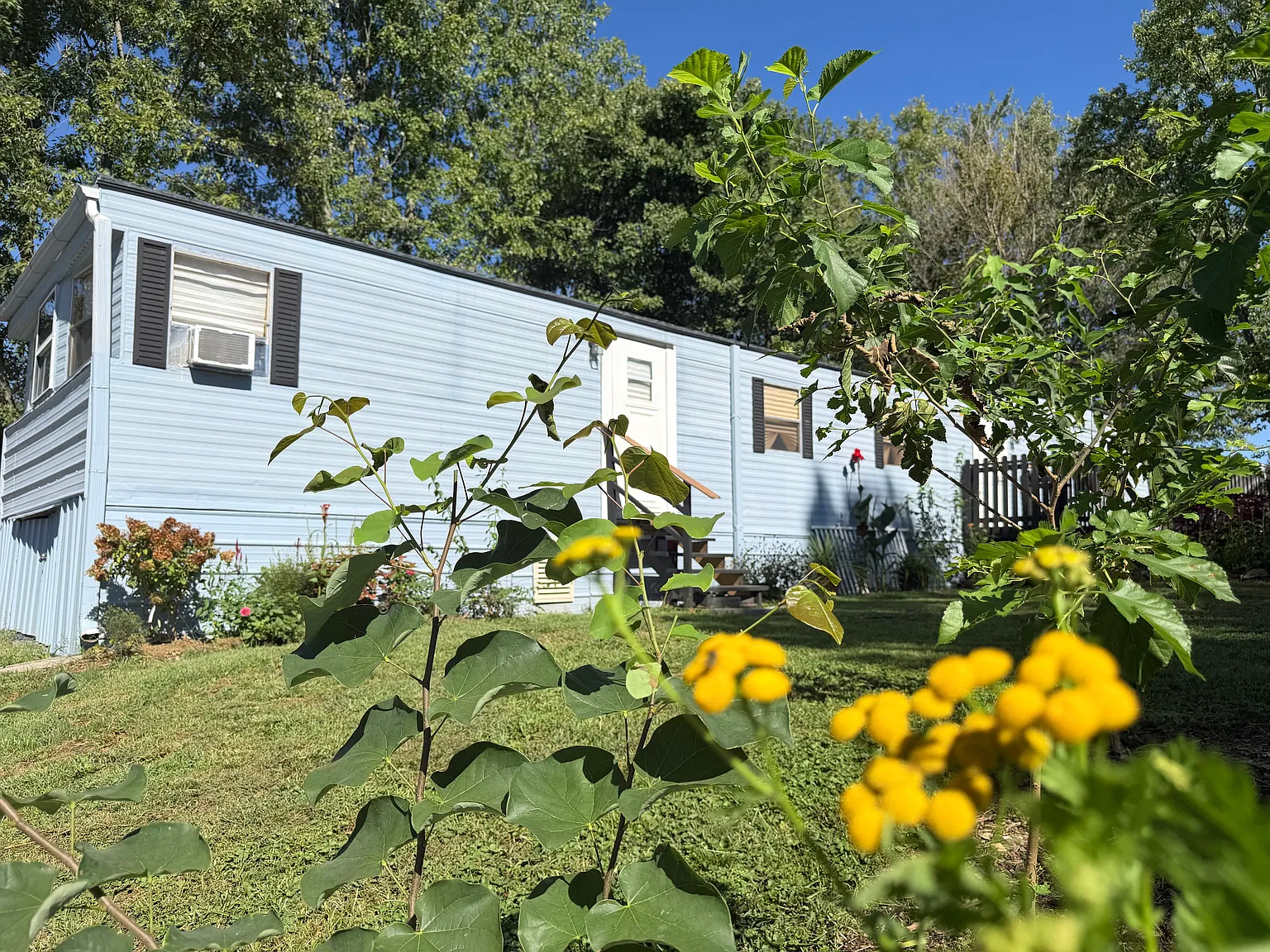 2 bed, 980 sqft, $3,500 — Photo 2