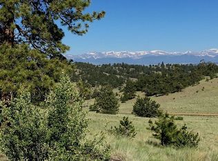 2767 Fitzsimmons Rd, Hartsel, CO 80449