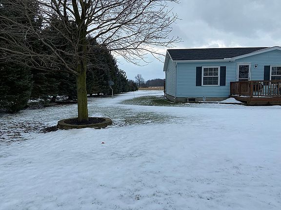 Pines are on property 