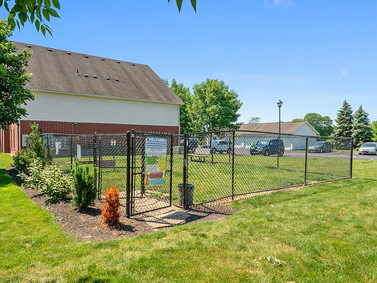 Bark Park