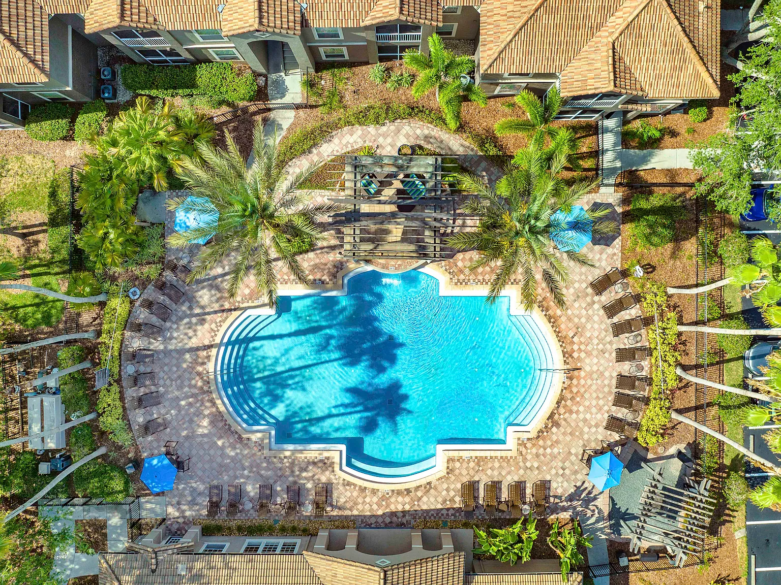 MAA Palm Harbor — Photo 2