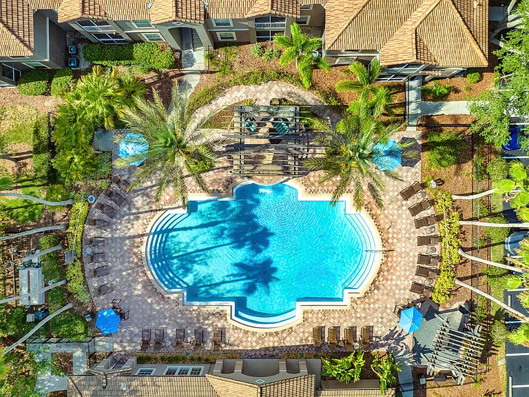 MAA Palm Harbor — Photo 2