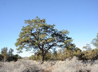 5133 N Alta Villa Rd, Williams, AZ 86046