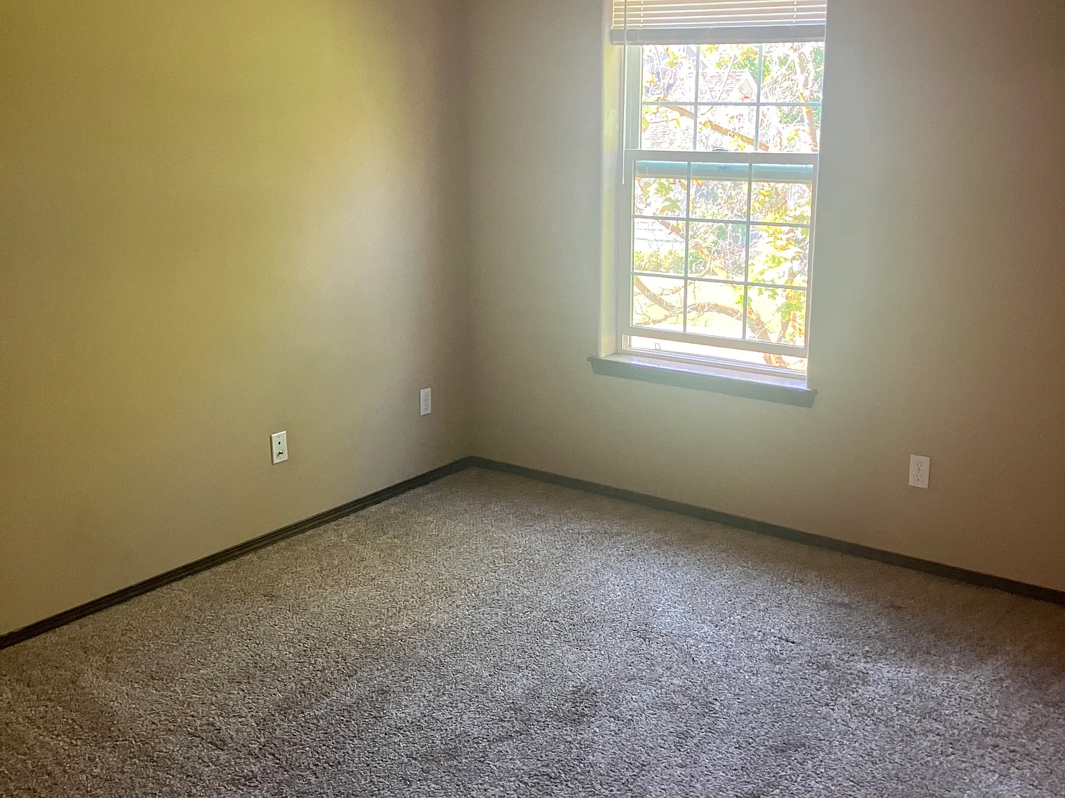 704 N Anderson St — Photo 3