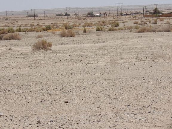 2nd image of 10454 Desert Manor Ave