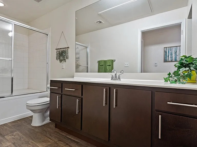Luxurious Bathrooms with Large Showers