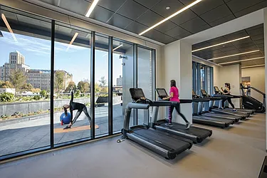 Rented by Gotham Organization