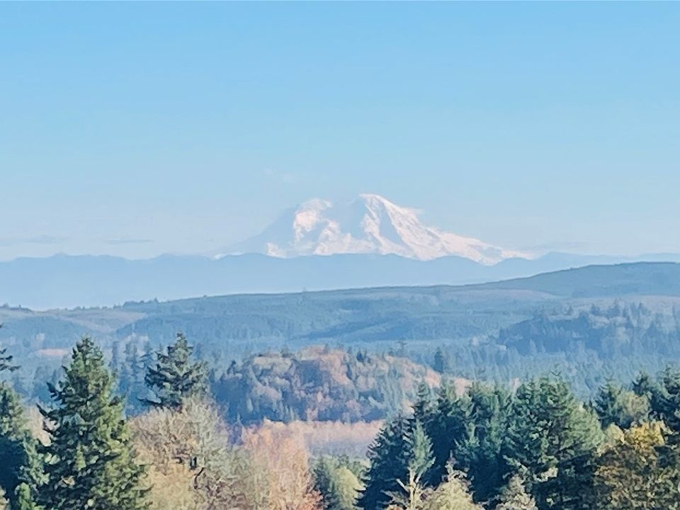 303 Olequa Heights Rd, Castle Rock, WA 98611 MLS NWM2013682 Zillow