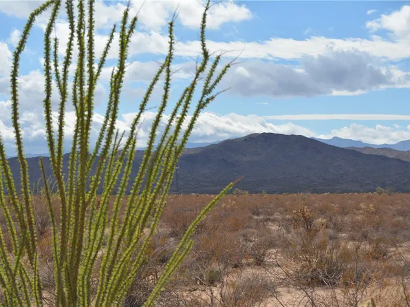 3271 S Arlington Rd #3271, Yucca, AZ 86438