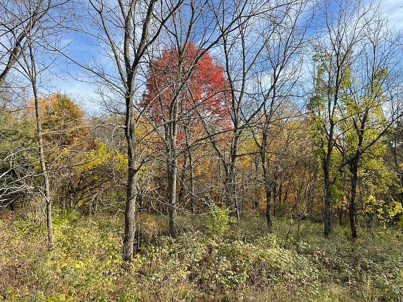 11 Royal Oaks Estate Ln, Harpers Ferry, IA 52146 Zillow