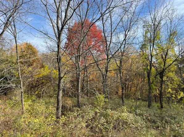 11 Royal Oaks Estate Ln, Harpers Ferry, IA 52146