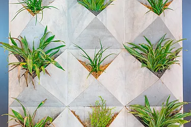 Rented by MySpaceNYC