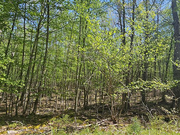4th image of 2 Foster South Trl