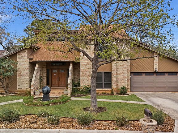 5th image of 2623 Turkey Oak
