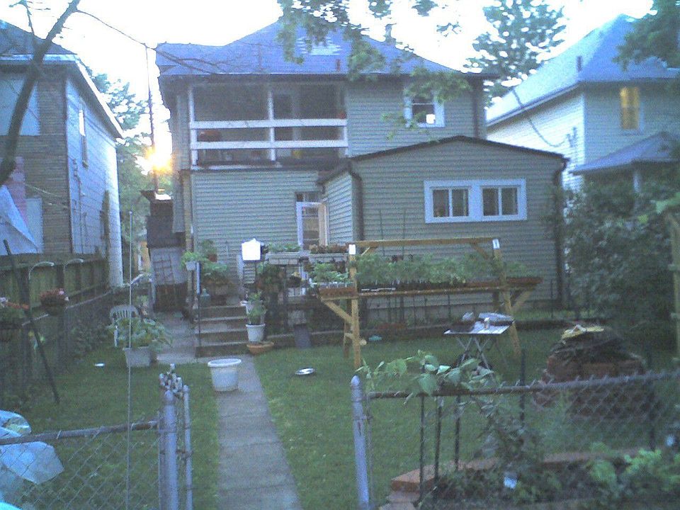 Picture of the Back Yard taken in June 08