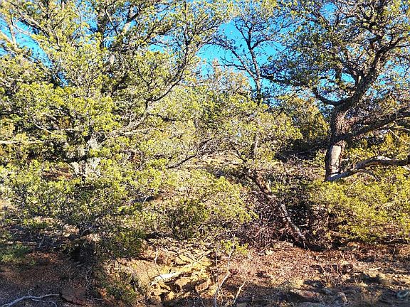 3rd image of LOT 898 Los Vaqueros Cir
