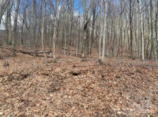 Hamlin Ln, Mars Hill, NC 28754