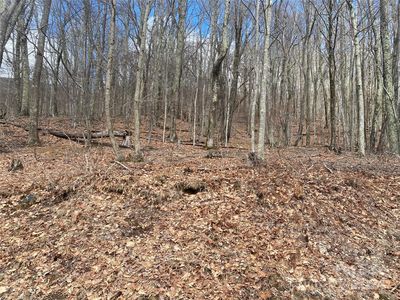 Hamlin Ln, Mars Hill, NC, 28754