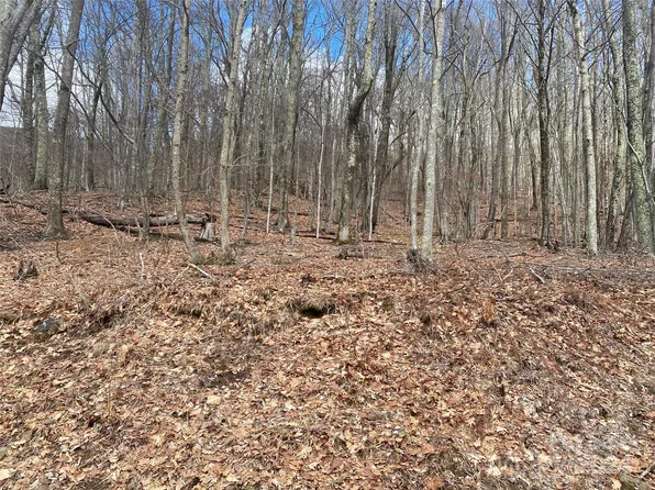 Hamlin Ln, Mars Hill, NC 28754