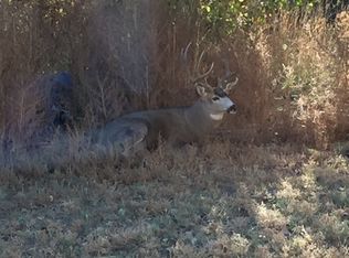 25 Deer Trl, Fallon, NV 89406