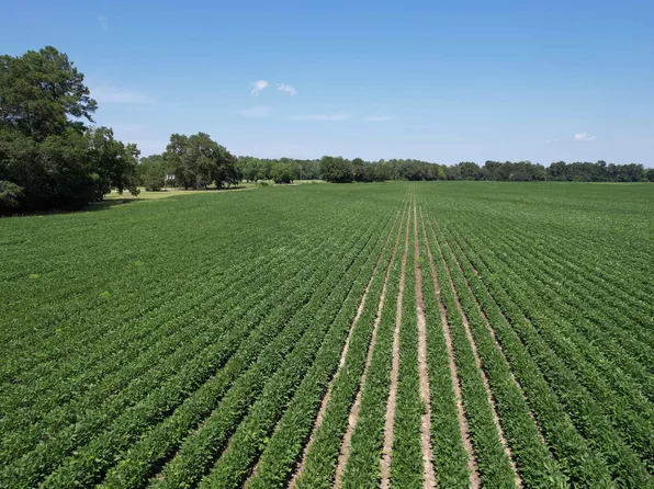 Lot 4 - Sumter Hwy. #Buck Strong Rd, Kingstree, SC 29556