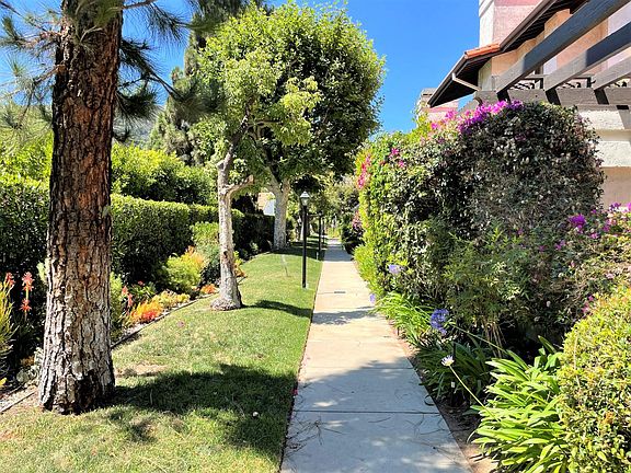 3rd image of 1450 Palisades Dr