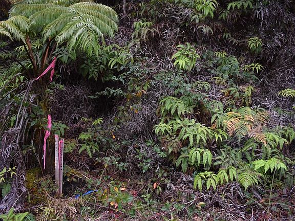 3rd image of Nahelenani St Lot 53-B