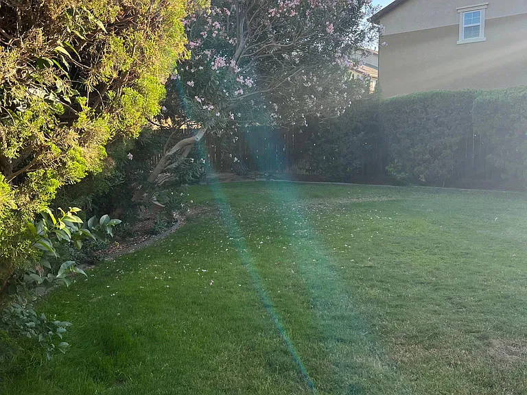 Shadowview Ct — Photo 7