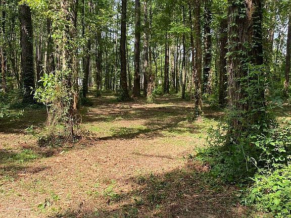 4th image of Tbd Ruby Moore Rd