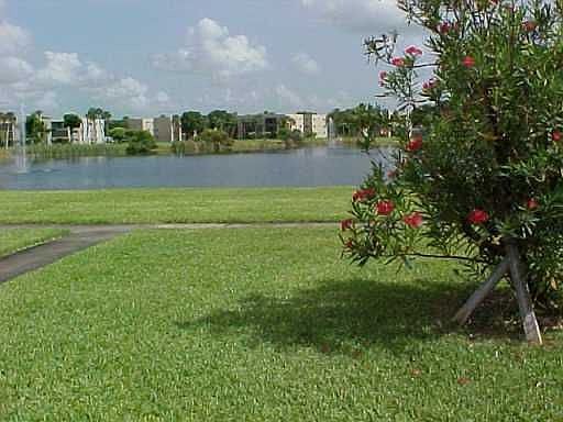 Lake View from #106