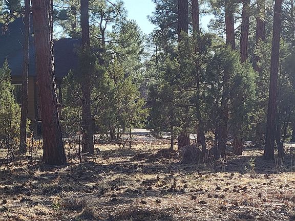 3rd image of 3371 W Tobasa Ln