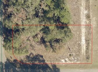 9038-1246-33 Guava Pass Ter, Ocklawaha, FL 32179