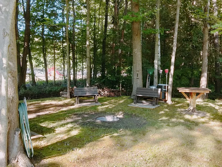 Fire Pit Area (far back in yard)