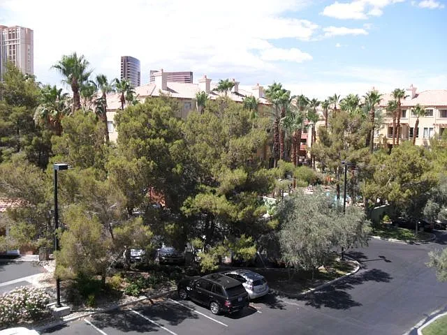 220 E Flamingo Rd #330 — Photo 19