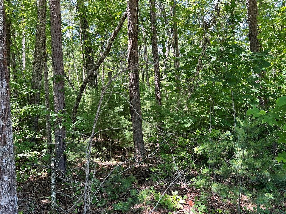 2nd image of 418 Bear Paw Church Rd