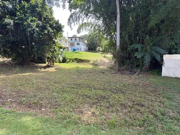 Carr 454 Bo Callejones, Lares, PR 00669