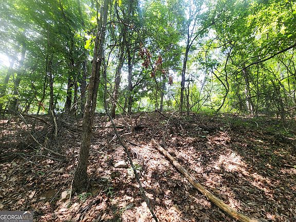 5th image of 14 Little Eagle Mountain Rd