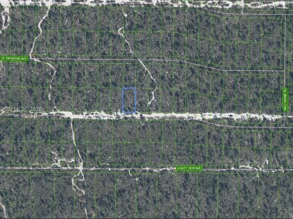 2204 Iris Ave, Sebring, FL 33875