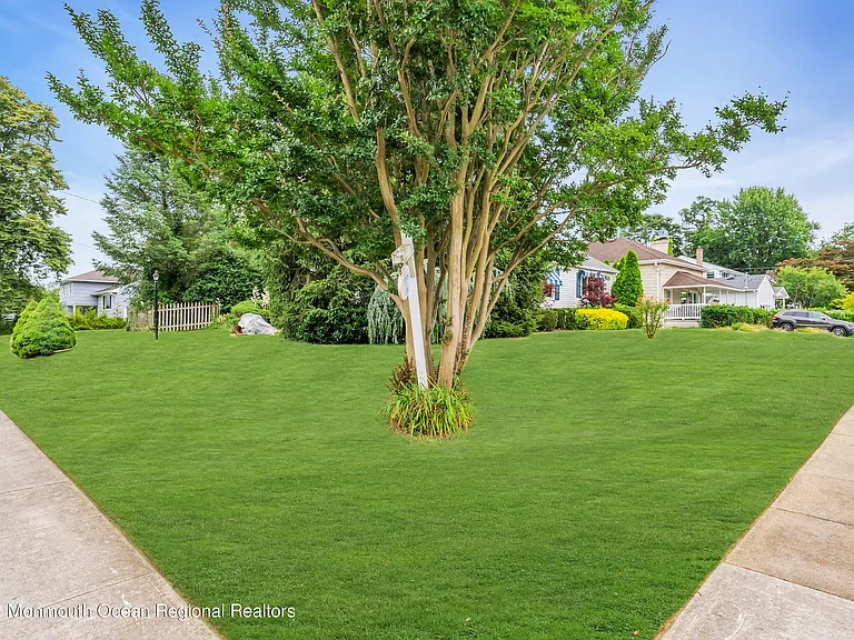 11 Elm Ave — Photo 19